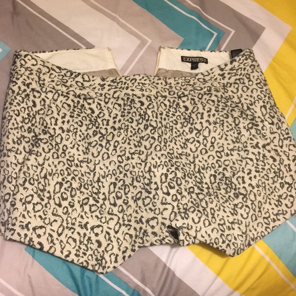 Express Pants - Leopard print skort